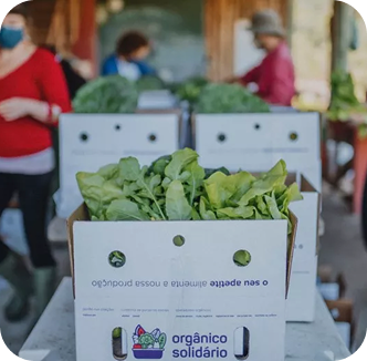 Distribuição de alimentos orgânicos